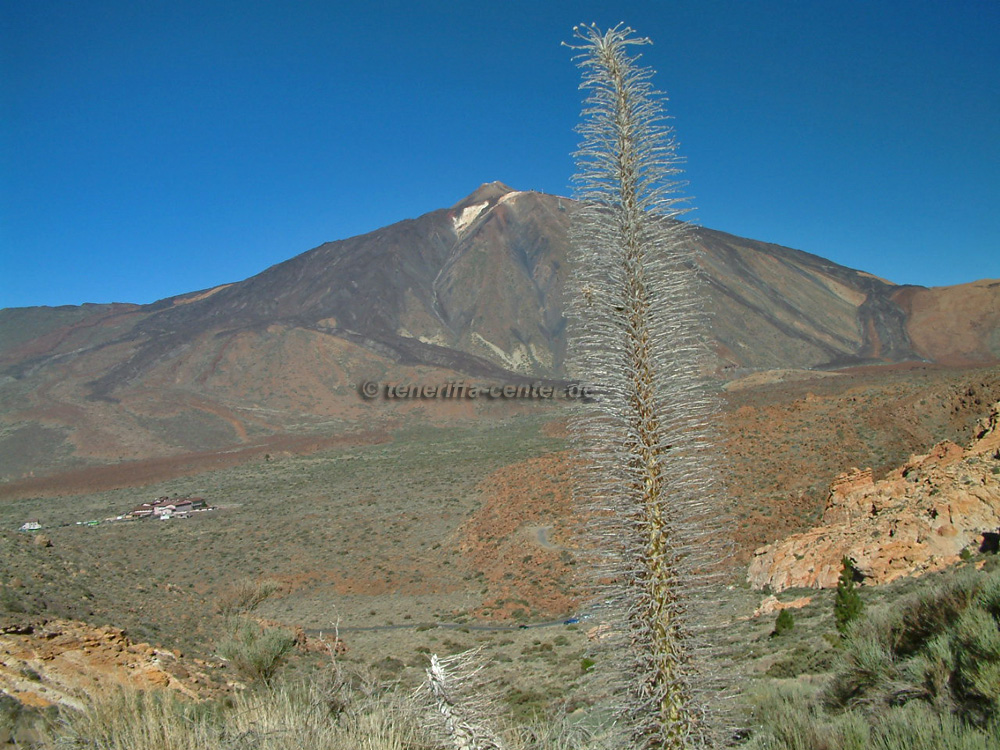 Teide auf Teneriffa